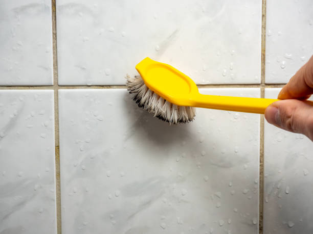 Mold Removal Process in Gaylord, MN