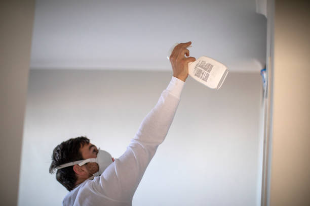 Best Mold Damage Repair  in Gaylord, MN