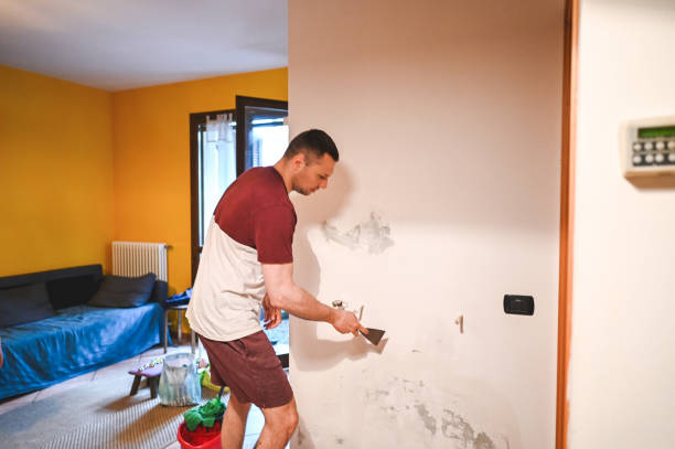 Best Mold Cleaning Services  in Gaylord, MN
